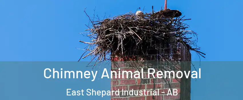 Chimney Animal Removal East Shepard Industrial - AB