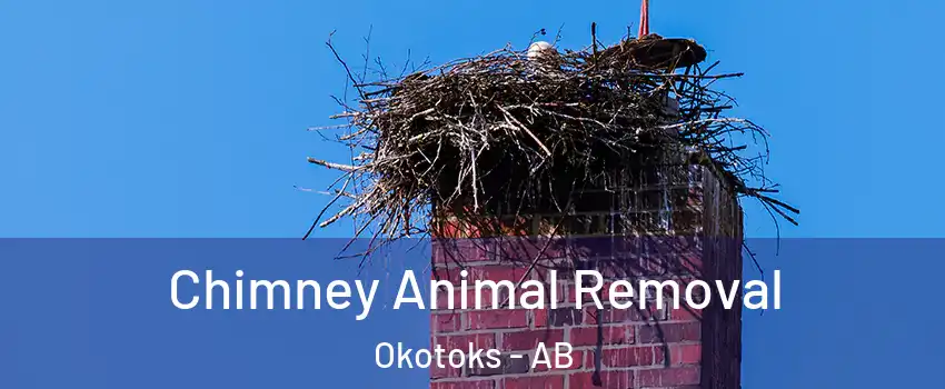 Chimney Animal Removal Okotoks - AB