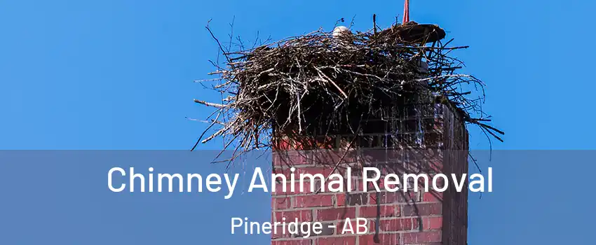 Chimney Animal Removal Pineridge - AB