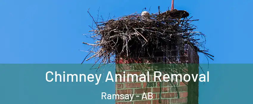 Chimney Animal Removal Ramsay - AB