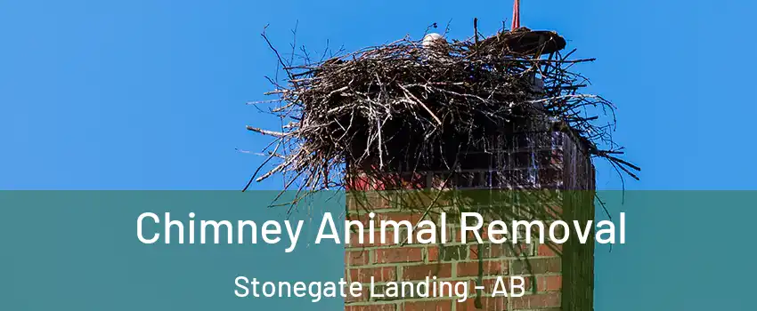 Chimney Animal Removal Stonegate Landing - AB