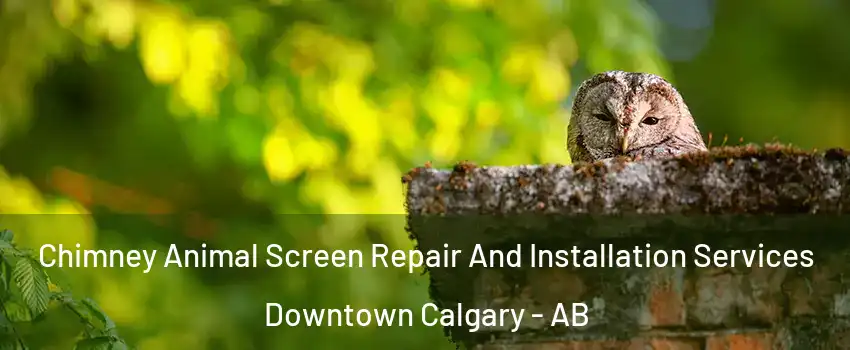 Chimney Animal Screen Repair And Installation Services Downtown Calgary - AB