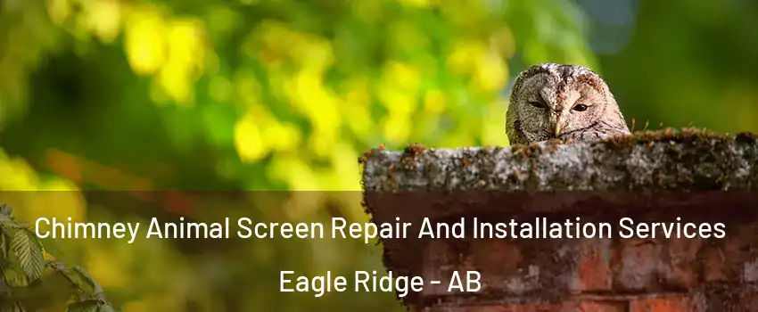 Chimney Animal Screen Repair And Installation Services Eagle Ridge - AB