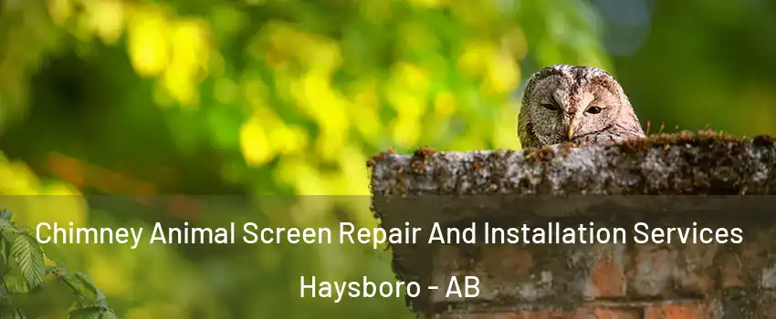 Chimney Animal Screen Repair And Installation Services Haysboro - AB