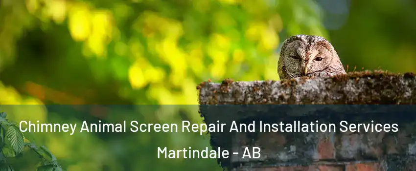 Chimney Animal Screen Repair And Installation Services Martindale - AB