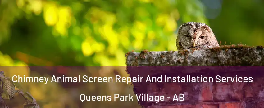 Chimney Animal Screen Repair And Installation Services Queens Park Village - AB