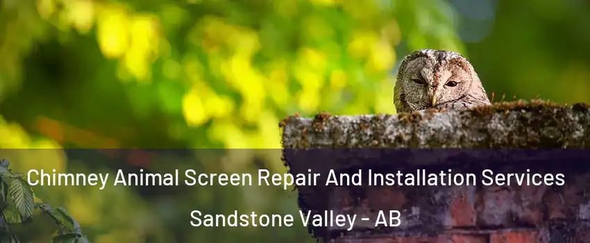 Chimney Animal Screen Repair And Installation Services Sandstone Valley - AB