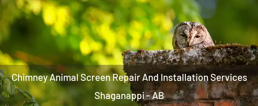 Chimney Animal Screen Repair And Installation Services Shaganappi - AB