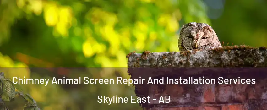 Chimney Animal Screen Repair And Installation Services Skyline East - AB
