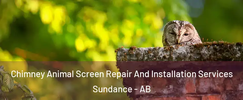 Chimney Animal Screen Repair And Installation Services Sundance - AB