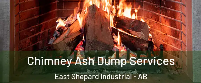 Chimney Ash Dump Services East Shepard Industrial - AB