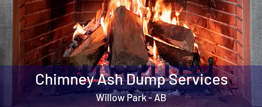 Chimney Ash Dump Services Willow Park - AB