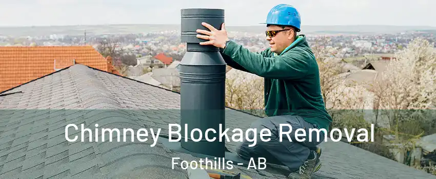Chimney Blockage Removal Foothills - AB