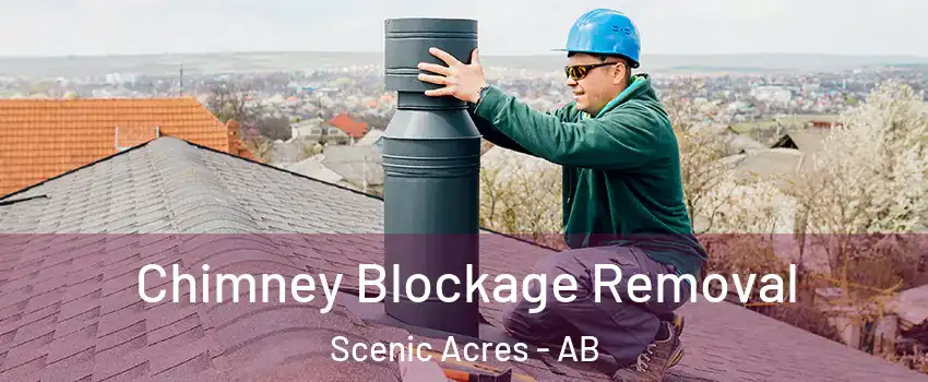 Chimney Blockage Removal Scenic Acres - AB