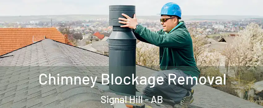 Chimney Blockage Removal Signal Hill - AB