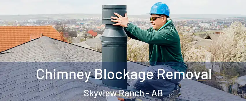 Chimney Blockage Removal Skyview Ranch - AB