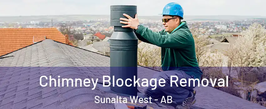 Chimney Blockage Removal Sunalta West - AB
