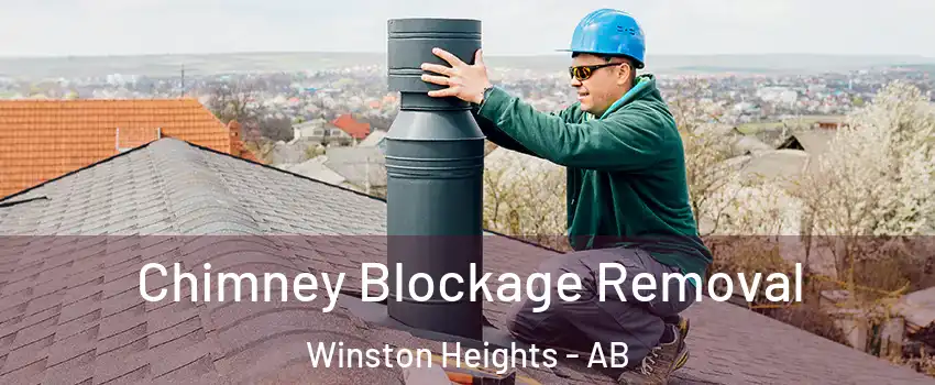 Chimney Blockage Removal Winston Heights - AB