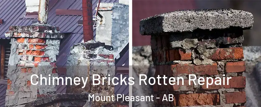 Chimney Bricks Rotten Repair Mount Pleasant - AB