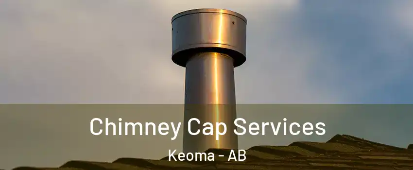Chimney Cap Services Keoma - AB