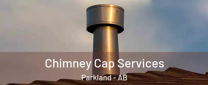 Chimney Cap Services Parkland - AB
