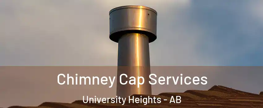 Chimney Cap Services University Heights - AB