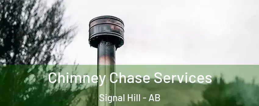 Chimney Chase Services Signal Hill - AB