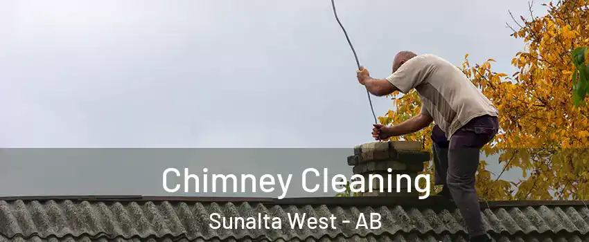 Chimney Cleaning Sunalta West - AB