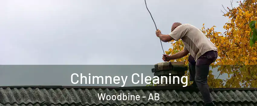 Chimney Cleaning Woodbine - AB