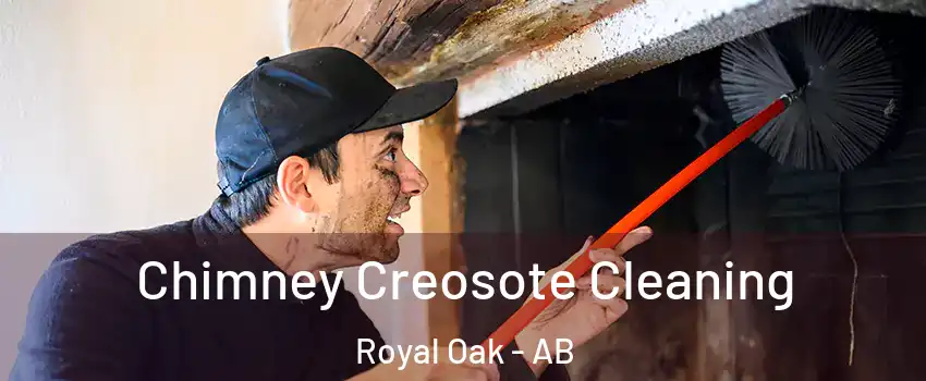 Chimney Creosote Cleaning Royal Oak - AB