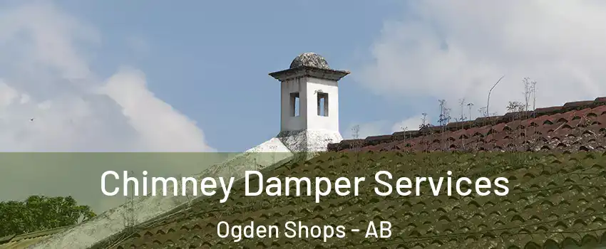 Chimney Damper Services Ogden Shops - AB