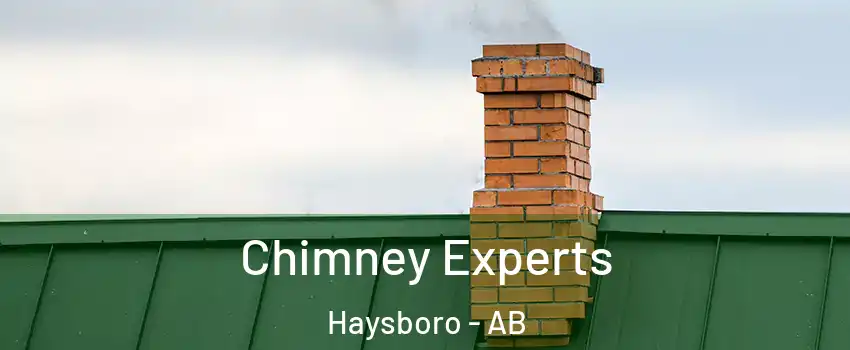 Chimney Experts Haysboro - AB