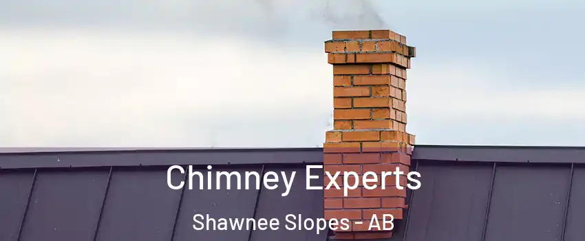 Chimney Experts Shawnee Slopes - AB