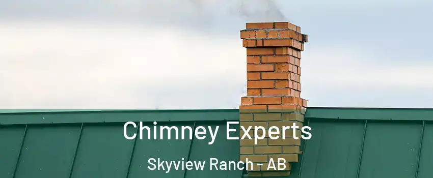 Chimney Experts Skyview Ranch - AB