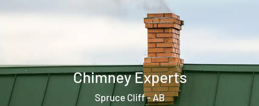 Chimney Experts Spruce Cliff - AB