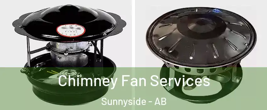 Chimney Fan Services Sunnyside - AB