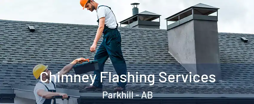 Chimney Flashing Services Parkhill - AB