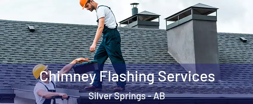 Chimney Flashing Services Silver Springs - AB