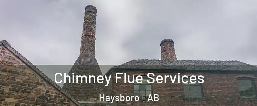 Chimney Flue Services Haysboro - AB