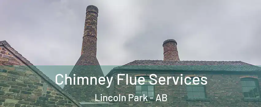 Chimney Flue Services Lincoln Park - AB