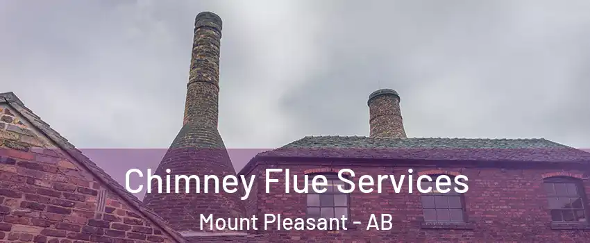 Chimney Flue Services Mount Pleasant - AB