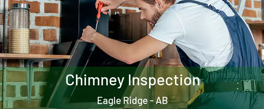 Chimney Inspection Eagle Ridge - AB