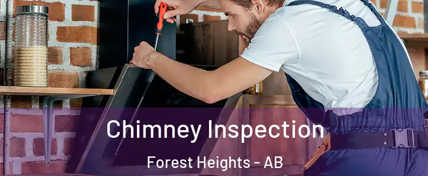 Chimney Inspection Forest Heights - AB