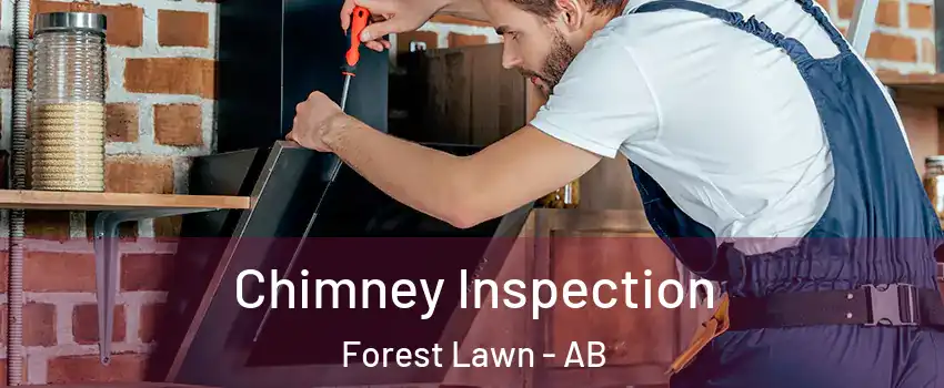 Chimney Inspection Forest Lawn - AB