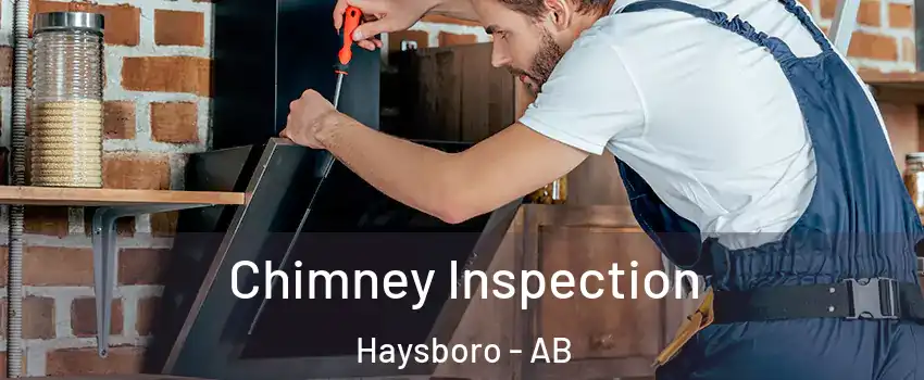 Chimney Inspection Haysboro - AB