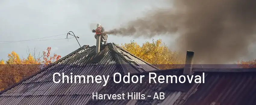 Chimney Odor Removal Harvest Hills - AB