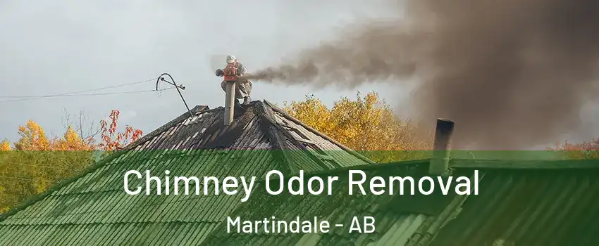 Chimney Odor Removal Martindale - AB