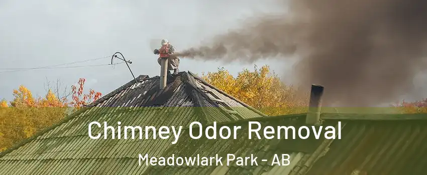 Chimney Odor Removal Meadowlark Park - AB