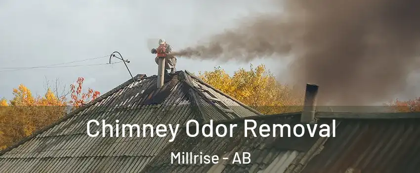 Chimney Odor Removal Millrise - AB