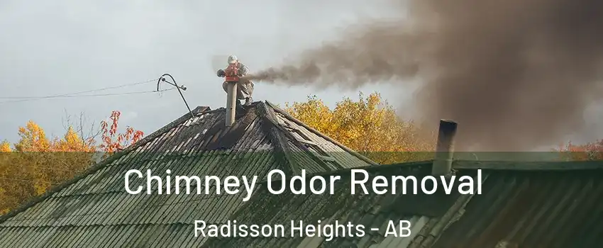 Chimney Odor Removal Radisson Heights - AB